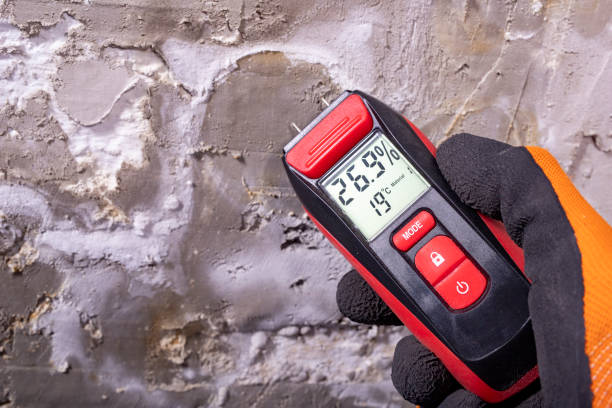 Best Post-Remediation Services in Ladera, CA